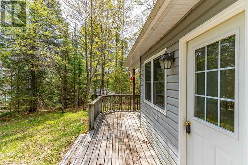 1099 Yellow Rock Drive, Highlands East (Glamorgan), ON - Outdoor With Deck Patio Veranda With Exterior