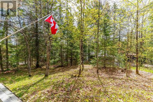 1099 Yellow Rock Drive, Highlands East (Glamorgan), ON - Outdoor
