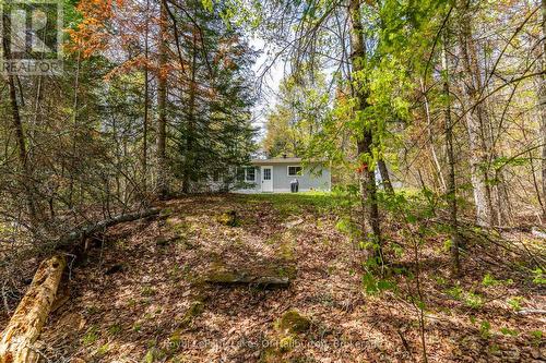 1099 Yellow Rock Drive, Highlands East (Glamorgan), ON - Outdoor