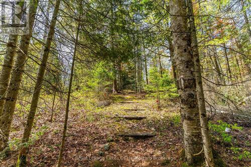 1099 Yellow Rock Drive, Highlands East (Glamorgan), ON - Outdoor With View