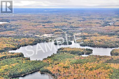 1099 Yellow Rock Drive, Highlands East (Glamorgan), ON - Outdoor With Body Of Water With View