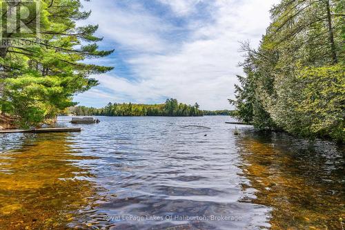 1099 Yellow Rock Drive, Highlands East (Glamorgan), ON - Outdoor With Body Of Water With View