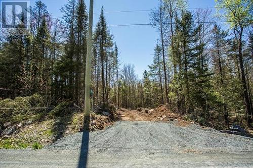 161 Concession Road 5|Plummer Additional Township, Bruce Mines, ON 