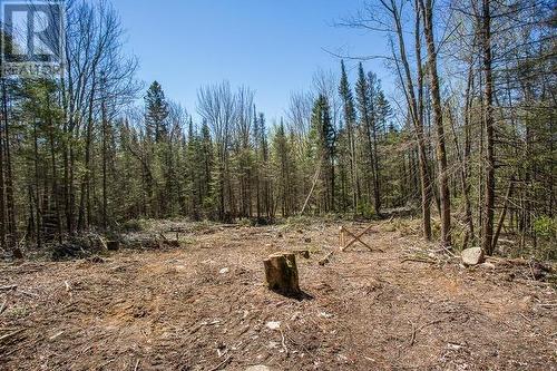 161 Concession Road 5|Plummer Additional Township, Bruce Mines, ON 