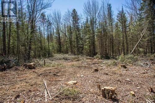 161 Concession Road 5|Plummer Additional Township, Bruce Mines, ON 