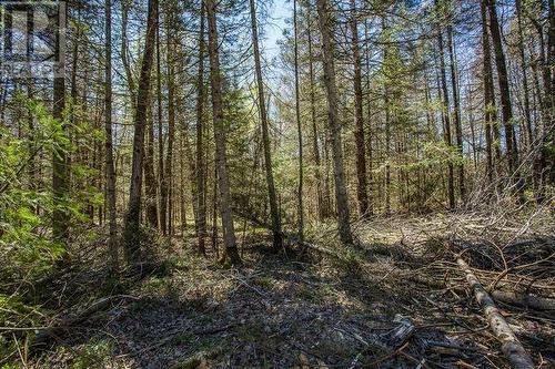 161 Concession Road 5|Plummer Additional Township, Bruce Mines, ON 