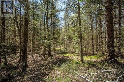 161 Concession Road 5|Plummer Additional Township, Bruce Mines, ON 