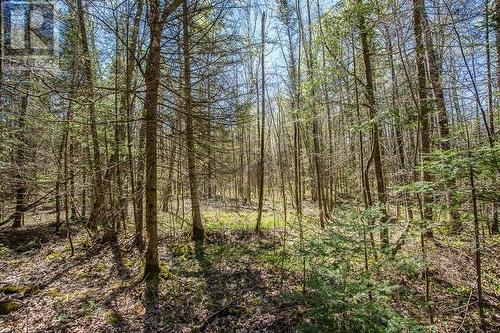 161 Concession Road 5|Plummer Additional Township, Bruce Mines, ON 