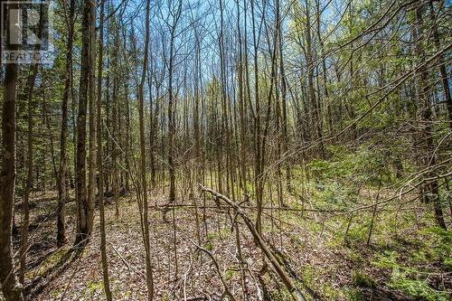 161 Concession Road 5|Plummer Additional Township, Bruce Mines, ON 