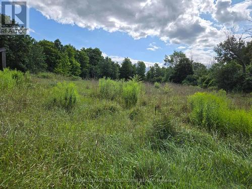 9414 First Line Nassagaweya W, Milton, ON 