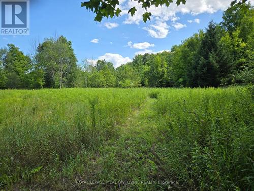 9414 First Line Nassagaweya W, Milton, ON 