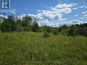 9414 First Line Nassagaweya W, Milton, ON 