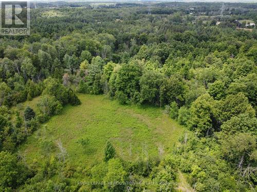 9414 First Line Nassagaweya W, Milton, ON 