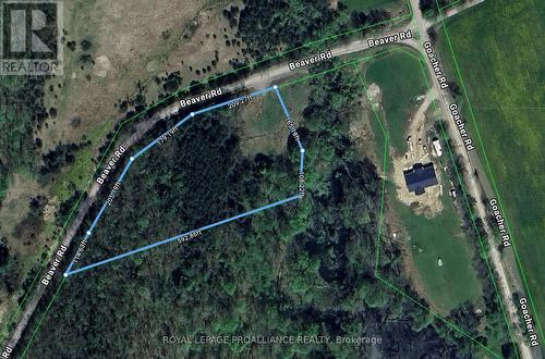 430 Beaver Road satellite view - 430 Beaver Road, Trent Hills, ON 