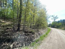 430 Beaver Road forest at curve on road - 