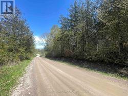 430 Beaver Road looking east along north property - 