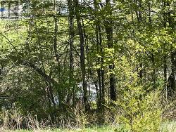 430 Beaver Road creek at east of property - 