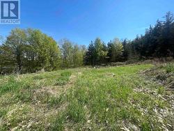 430 Beaver Road looking south - 