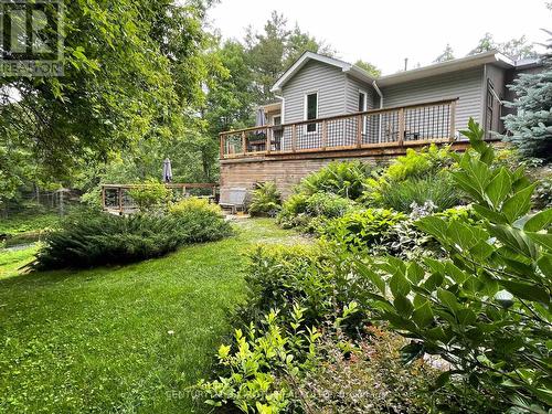 8101 Kings River Road, Ramara, ON - Outdoor