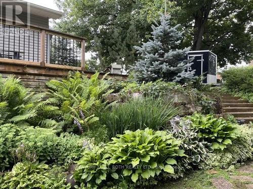 Lush Garden - 8101 Kings River Road, Ramara, ON - Outdoor
