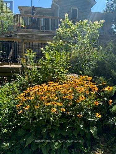 8101 Kings River Road, Ramara, ON - Outdoor