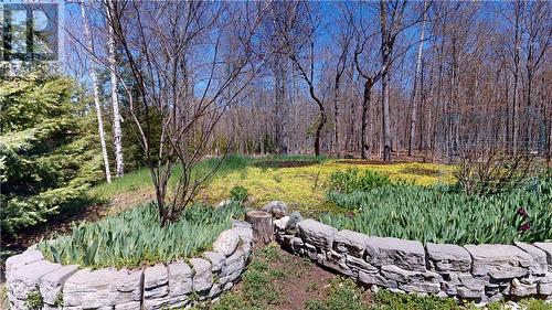 80 Steven Street, Gore Bay, ON - Outdoor With View