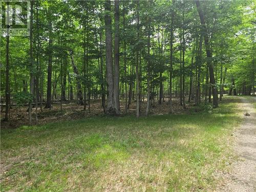 80 Steven Street, Gore Bay, ON - Outdoor With View