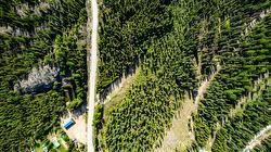 Lot #2 Paradise Road  Joe Rich, BC V1P 1K4