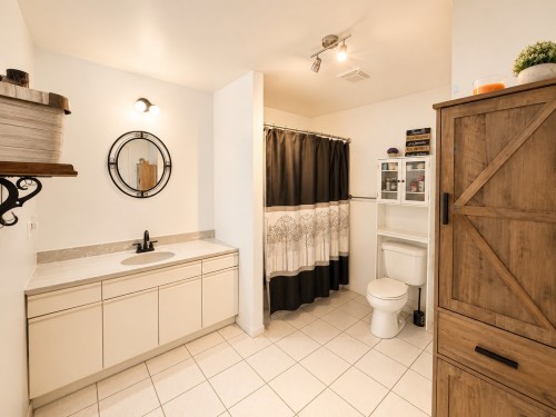Salle de bains - 456 Rue Brown, Mont-Tremblant, QC - Indoor Photo Showing Bathroom