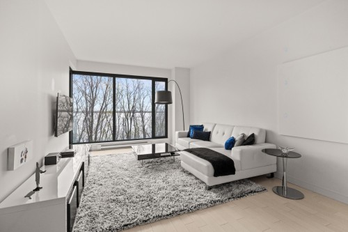 202-299 Rue de la Rotonde  Montréal (Verdun/Île-Des-Soeurs), QC H3E 0C6