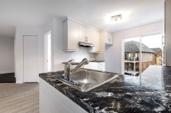 Kitchen - 