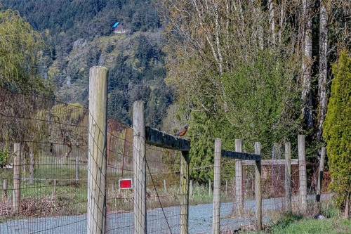 7600 Westholme Rd, Duncan, BC 