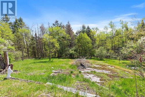 4900 Monck Road, Kawartha Lakes (Kinmount), ON 