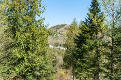 View - 