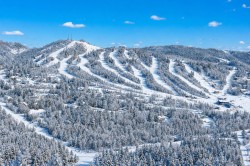 Aerial View - 