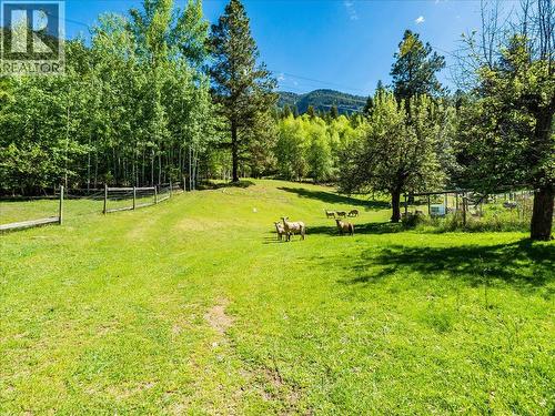 2960 Upper Slocan Park Road, Slocan Park, BC - Outdoor