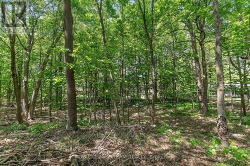 2 Fairhaven Way, Ottawa, ON - Outdoor