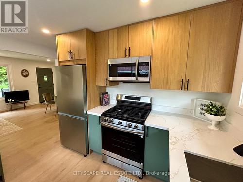39 Carousel Avenue, Hamilton, ON - Indoor Photo Showing Kitchen