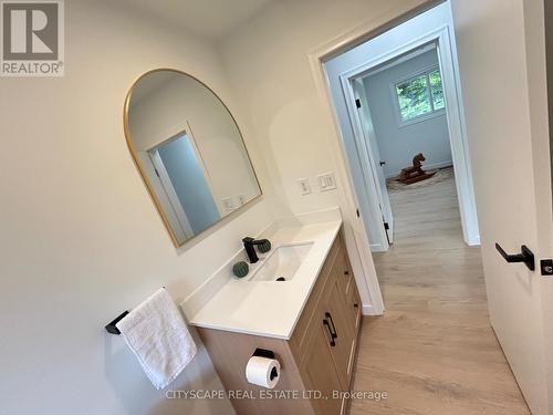 39 Carousel Avenue, Hamilton, ON - Indoor Photo Showing Bathroom
