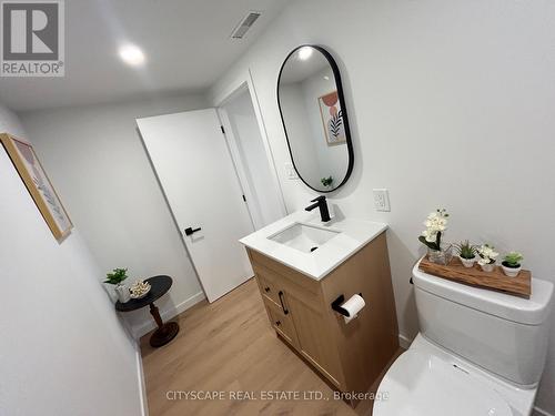 39 Carousel Avenue, Hamilton, ON - Indoor Photo Showing Bathroom