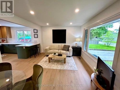 39 Carousel Avenue, Hamilton, ON - Indoor Photo Showing Living Room
