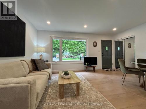39 Carousel Avenue, Hamilton, ON - Indoor Photo Showing Living Room