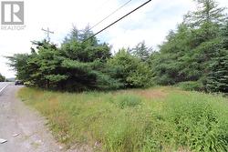 194 Conception Bay Highway Holyrood, NL A0A 2R0