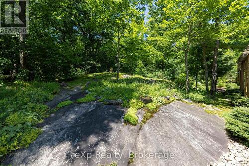 7 Limbert Road, Mcdougall, ON - Outdoor