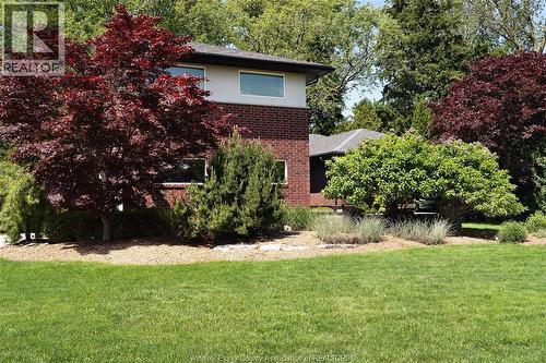 382 Barry, Tecumseh, ON - Outdoor