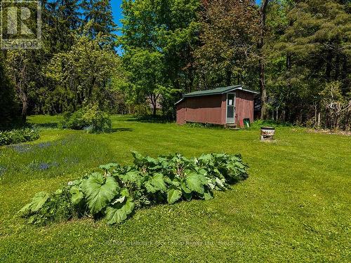 88 Gray Avenue, Meaford, ON - Outdoor