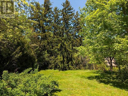 88 Gray Avenue, Meaford, ON - Outdoor
