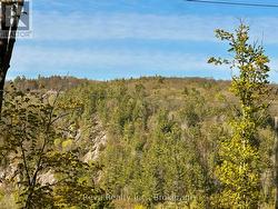 Eagles Nest View - 