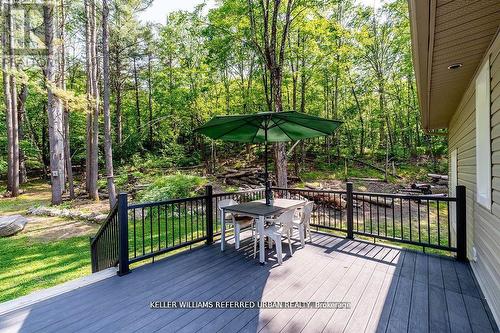 51 Pine Grove Road, Trent Hills, ON - Outdoor With Deck Patio Veranda With Exterior