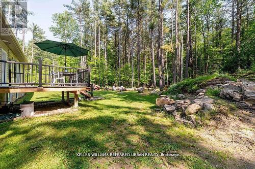51 Pine Grove Road, Trent Hills, ON - Outdoor With Deck Patio Veranda